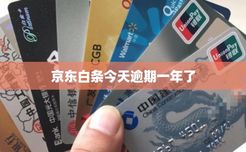 京东白条今天逾期一年了