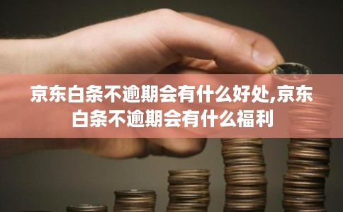 京东白条不逾期会有什么好处,京东白条不逾期会有什么福利 京东白条不逾期会有什么好处,京东白条不逾期会有什么福利