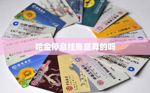 哈金停息挂账是真的吗 哈金停息挂账是真的吗