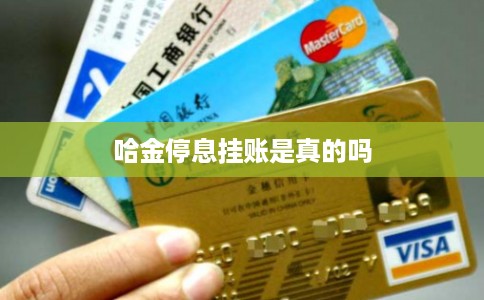 哈金停息挂账是真的吗 哈金停息挂账是真的吗