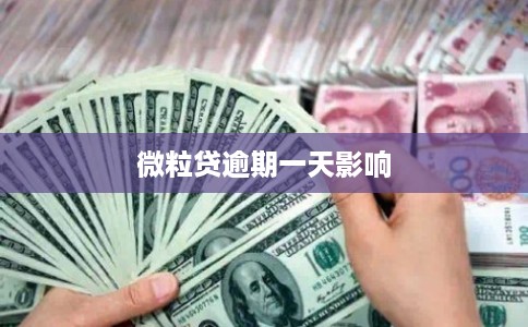 微粒贷逾期一天影响