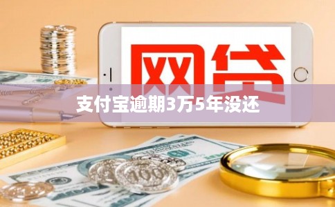 支付宝逾期3万5年没还