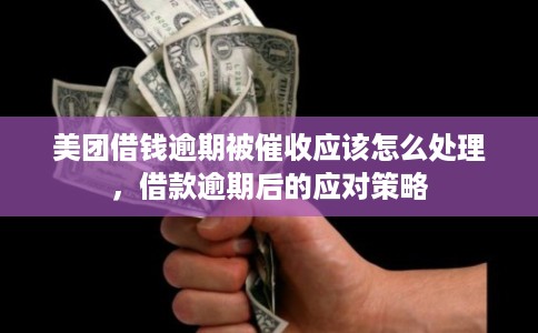 美团借钱逾期被催收应该怎么处理，借款逾期后的应对策略