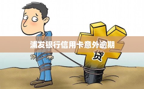 浦发银行信用卡意外逾期