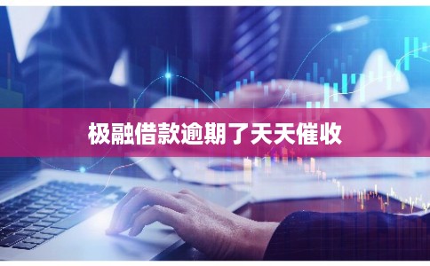 极融借款逾期了天天催收