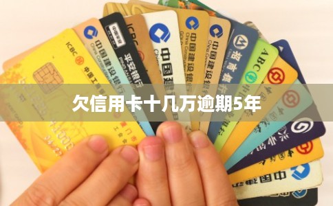 欠信用卡十几万逾期5年
