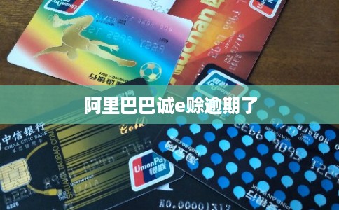 阿里巴巴诚e赊逾期了