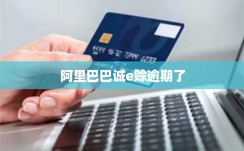 阿里巴巴诚e赊逾期了