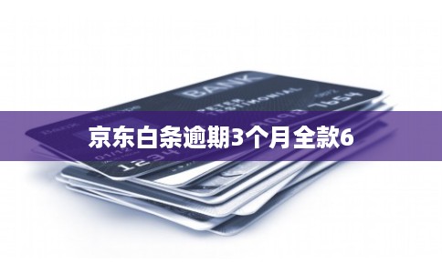 京东白条逾期3个月全款6