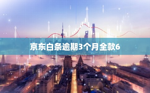 京东白条逾期3个月全款6