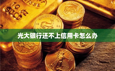光大银行还不上信用卡怎么办