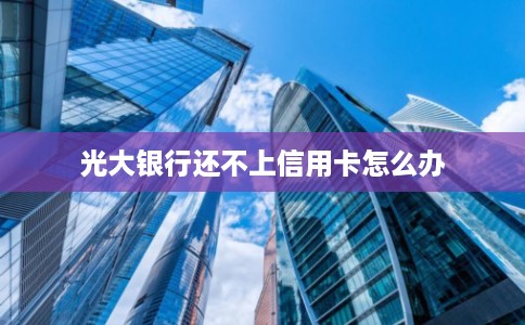 光大银行还不上信用卡怎么办