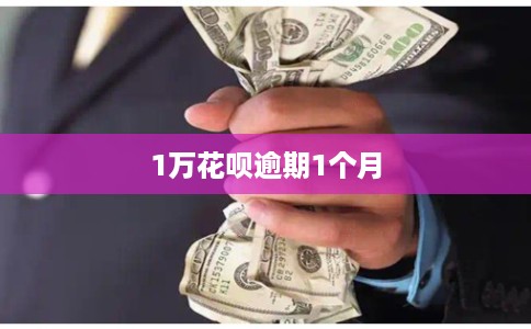 1万花呗逾期1个月