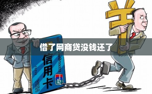 借了网商贷没钱还了