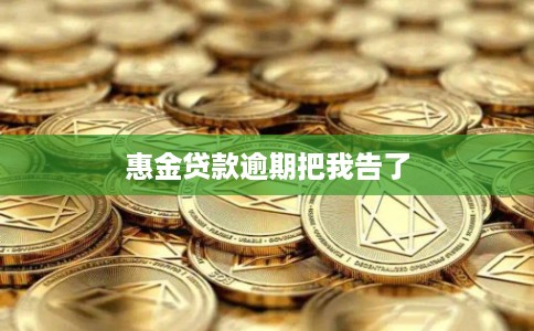 惠金贷款逾期把我告了