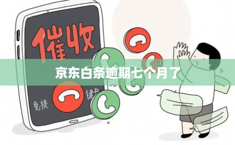 京东白条逾期七个月了