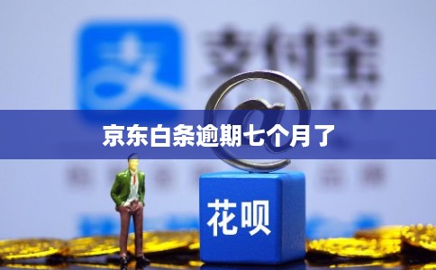京东白条逾期七个月了