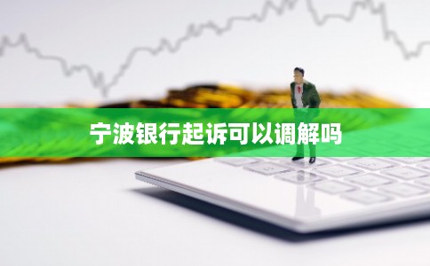 宁波银行起诉可以调解吗