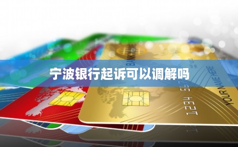 宁波银行起诉可以调解吗