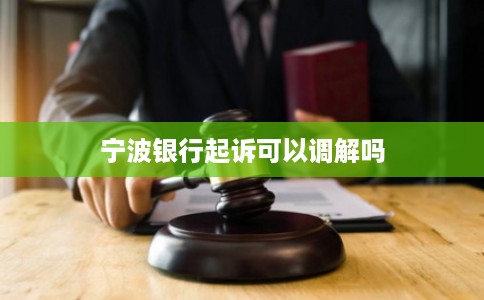宁波银行起诉可以调解吗
