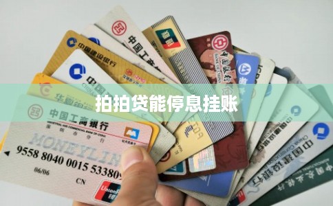 拍拍贷能停息挂账