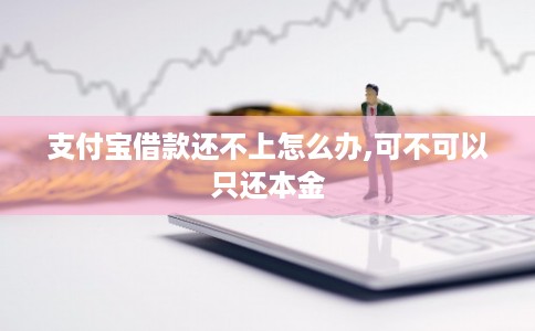 支付宝借款还不上怎么办,可不可以只还本金