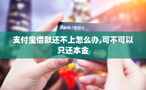 支付宝借款还不上怎么办,可不可以只还本金