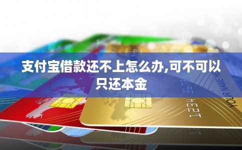 支付宝借款还不上怎么办,可不可以只还本金