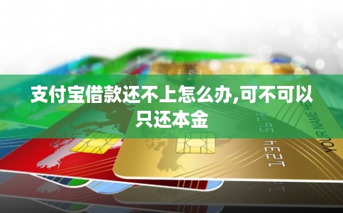支付宝借款还不上怎么办,可不可以只还本金