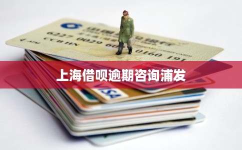 上海借呗逾期咨询浦发