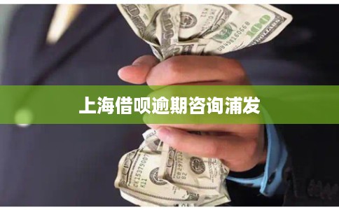 上海借呗逾期咨询浦发