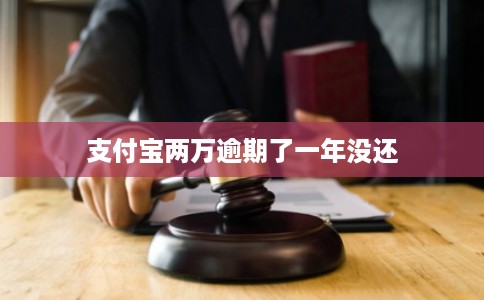 支付宝两万逾期了一年没还
