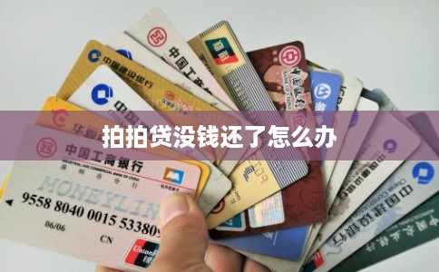 拍拍贷没钱还了怎么办