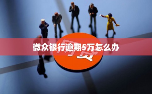 微众银行逾期5万怎么办