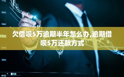欠借呗5万逾期半年怎么办,逾期借呗5万还款方式