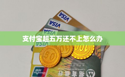 支付宝超五万还不上怎么办