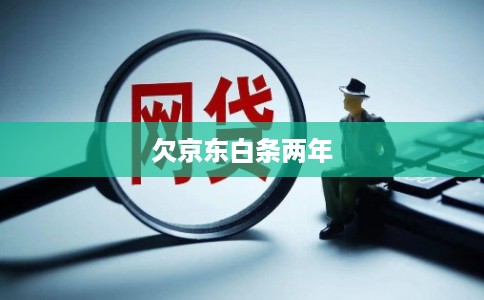 欠京东白条两年