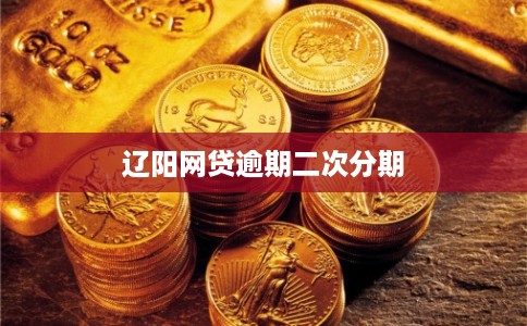 辽阳网贷逾期二次分期