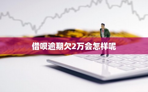 借呗逾期欠2万会怎样呢 借呗逾期欠2万会怎样呢