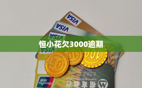 恒小花欠3000逾期
