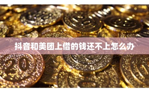 抖音和美团上借的钱还不上怎么办