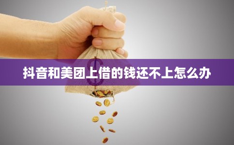 抖音和美团上借的钱还不上怎么办