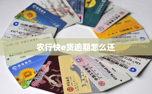 农行快e贷逾期怎么还