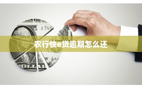 农行快e贷逾期怎么还