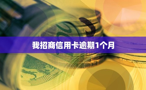 我招商信用卡逾期1个月