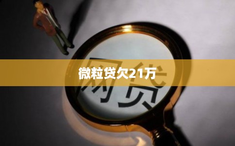 微粒贷欠21万