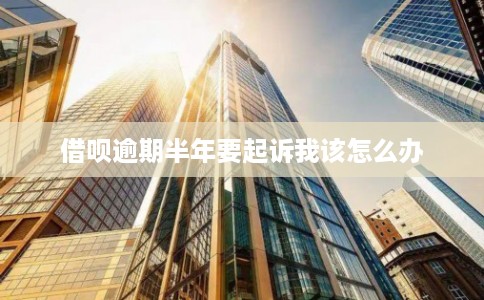 借呗逾期半年要起诉我该怎么办