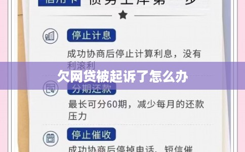 欠网贷被起诉了怎么办