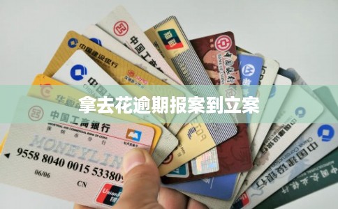拿去花逾期报案到立案