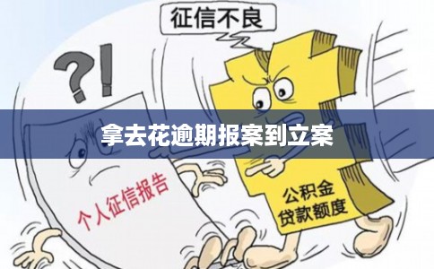 拿去花逾期报案到立案